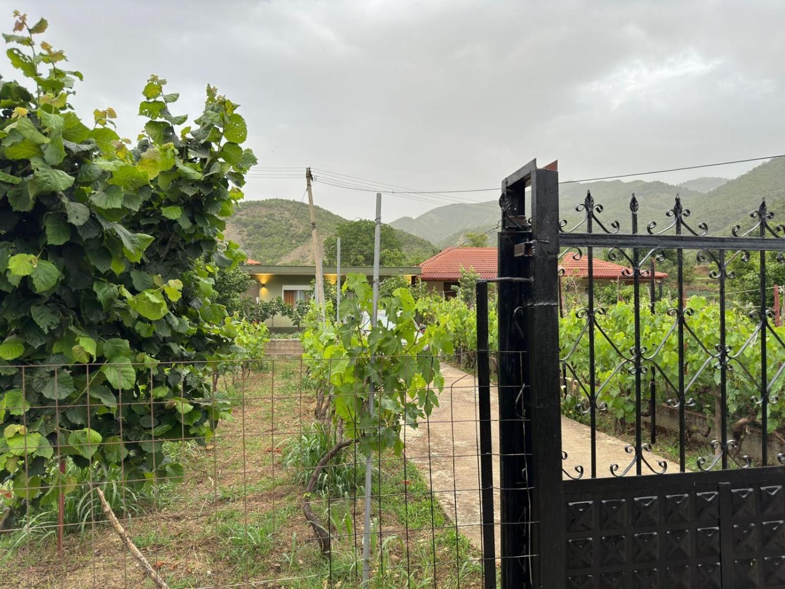 Green House Përmet المظهر الخارجي الصورة