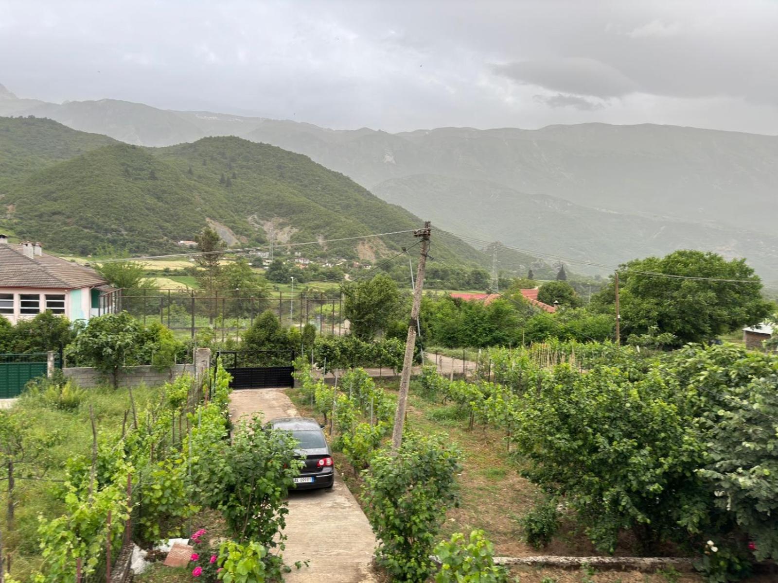 Green House Përmet المظهر الخارجي الصورة
