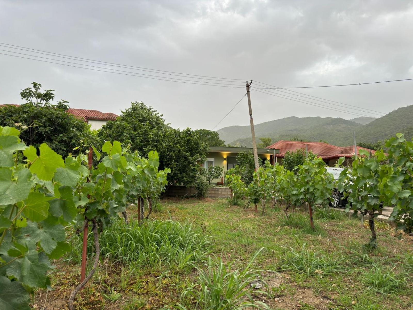 Green House Përmet المظهر الخارجي الصورة